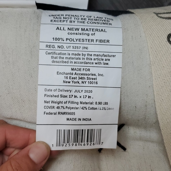 NWT Rae Dunn Set of Two Chair Cushions - Picture 6 of 6